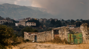 ¿Cubre el seguro de hogar los daños por un incendio forestal?
